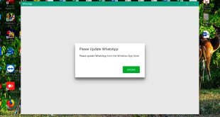 Cara Update WhatsApp di Laptop dengan Mudah yang Jarang Orang Ketahui