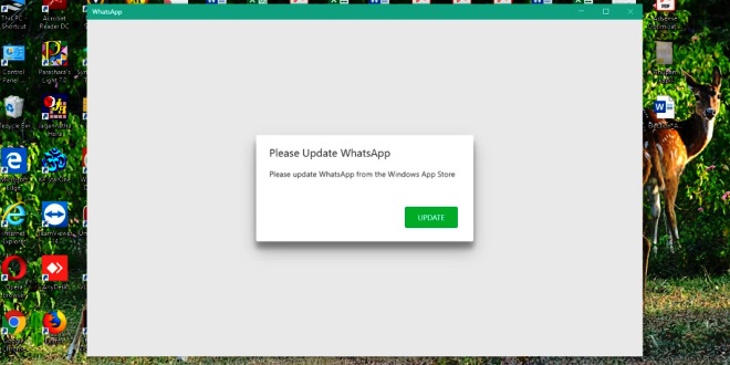 Cara Update WhatsApp di Laptop dengan Mudah yang Jarang Orang Ketahui